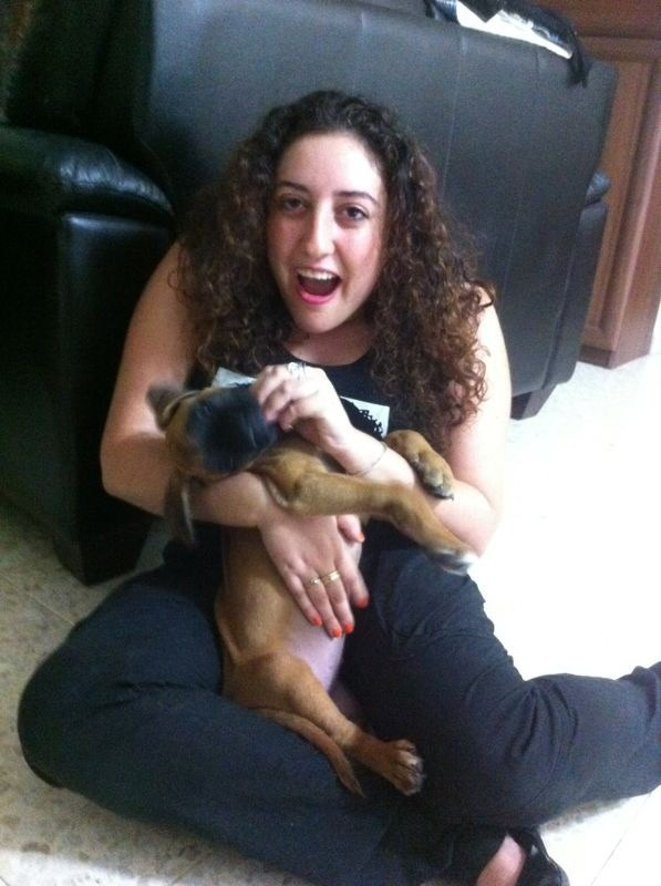 My ״Star״ Boxer Dog