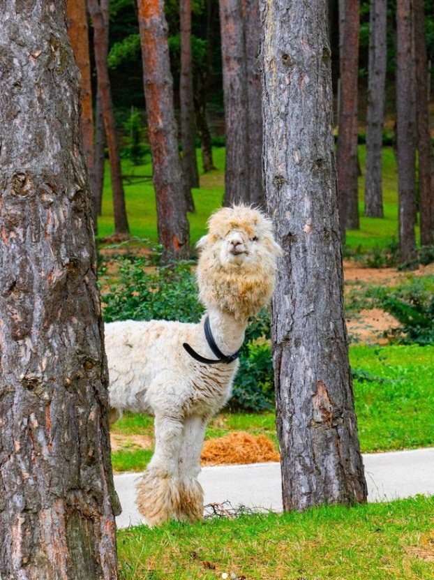 Окрестности Тбилиси. Главная