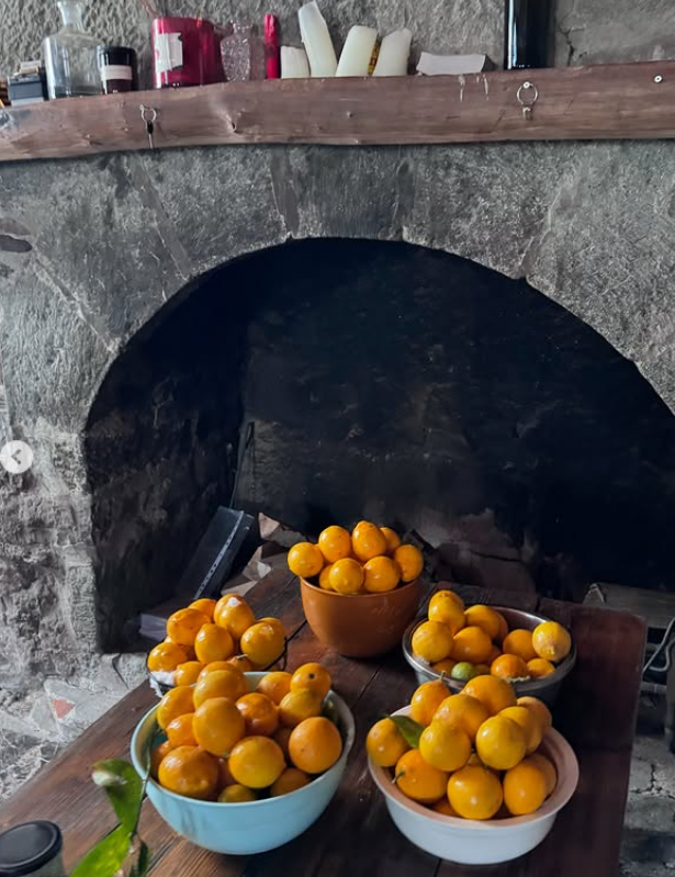 DADI Village. Главная