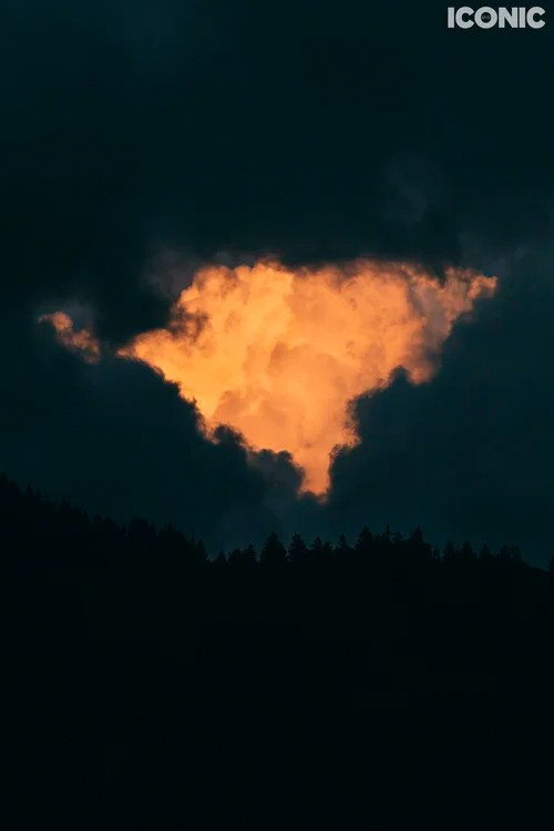 Publications. OLGA REPTIK