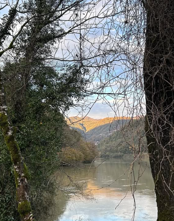 DADI Village. Главная