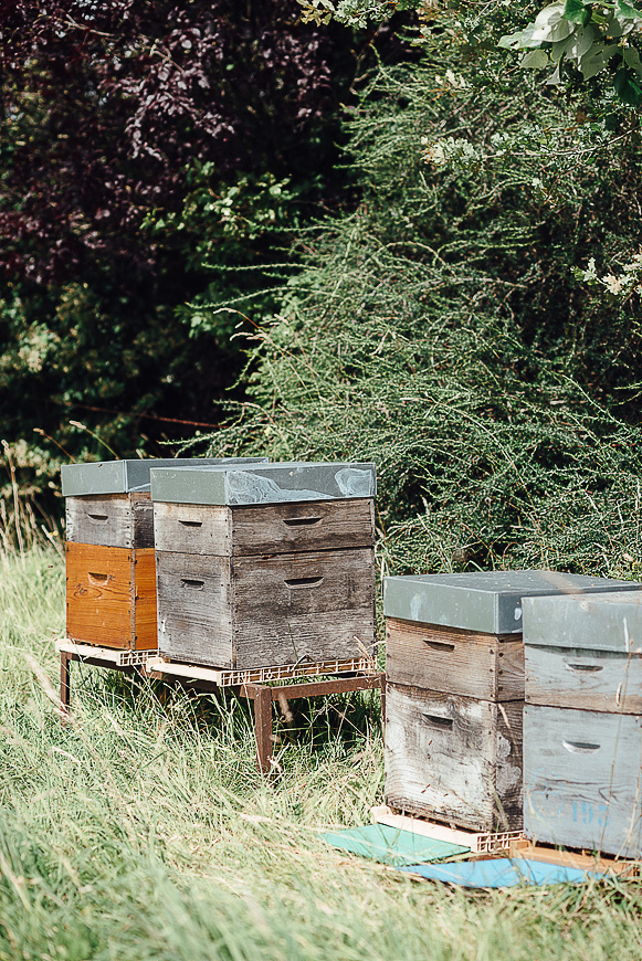 Медовая пасека. Ksenia Marchand/ Lifestyle фотограф в Париже
