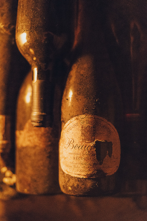 Nathalie Liebart Champagne. Ksenia Marchand/ Lifestyle фотограф в Париже