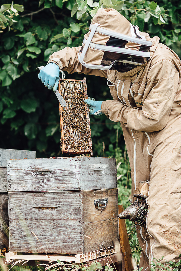 Медовая пасека. Ksenia Marchand/ Lifestyle фотограф в Париже