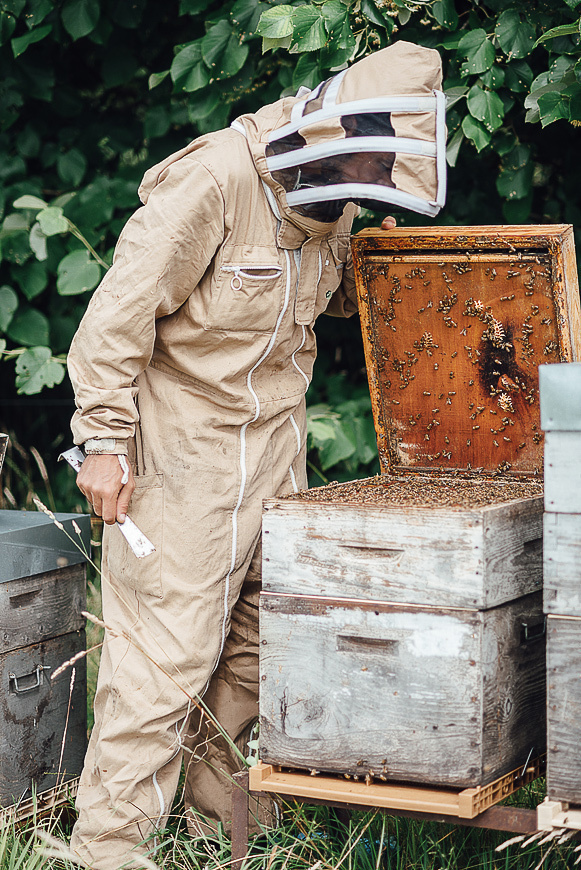 Медовая пасека. Ksenia Marchand/ Lifestyle фотограф в Париже