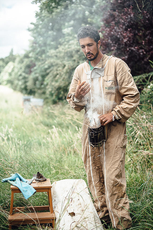 Медовая пасека. Ksenia Marchand/ Lifestyle фотограф в Париже