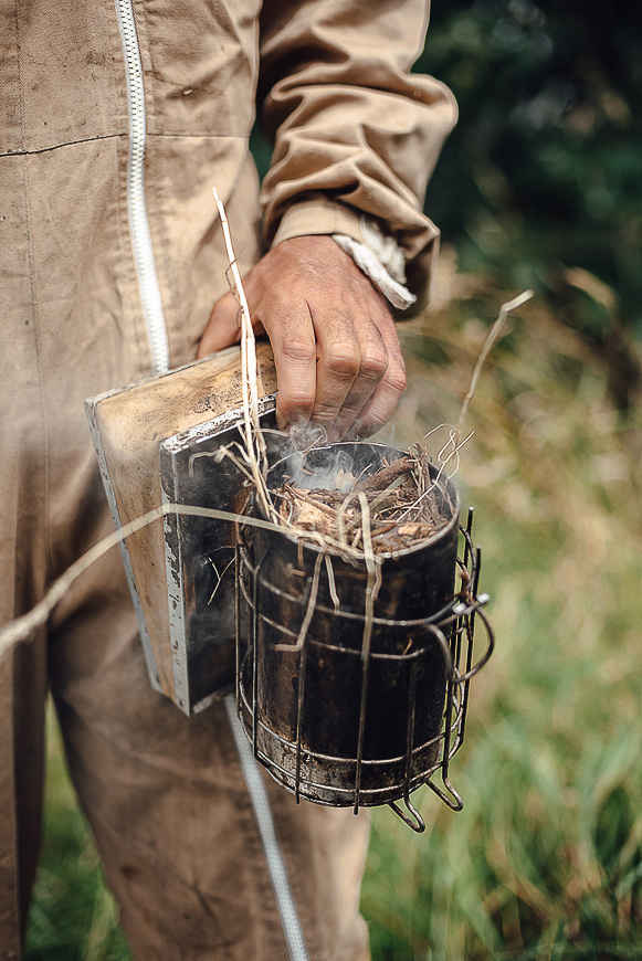 Медовая пасека. Ksenia Marchand/ Lifestyle фотограф в Париже