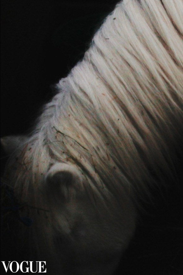 PhotoVogue. Lifestyle & Documentary Photography in Bristol, Bath & London — def0cused