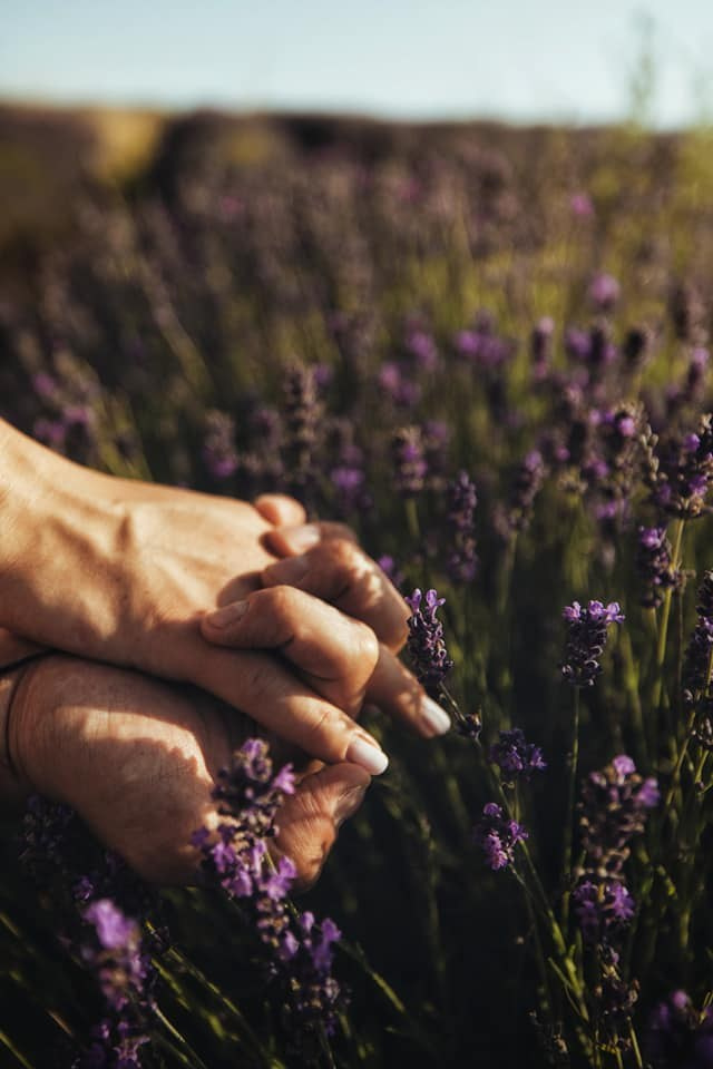 Gianina- Sedinta foto maternitate. Emotions Photo Art