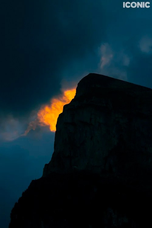 Publications. OLGA REPTIK