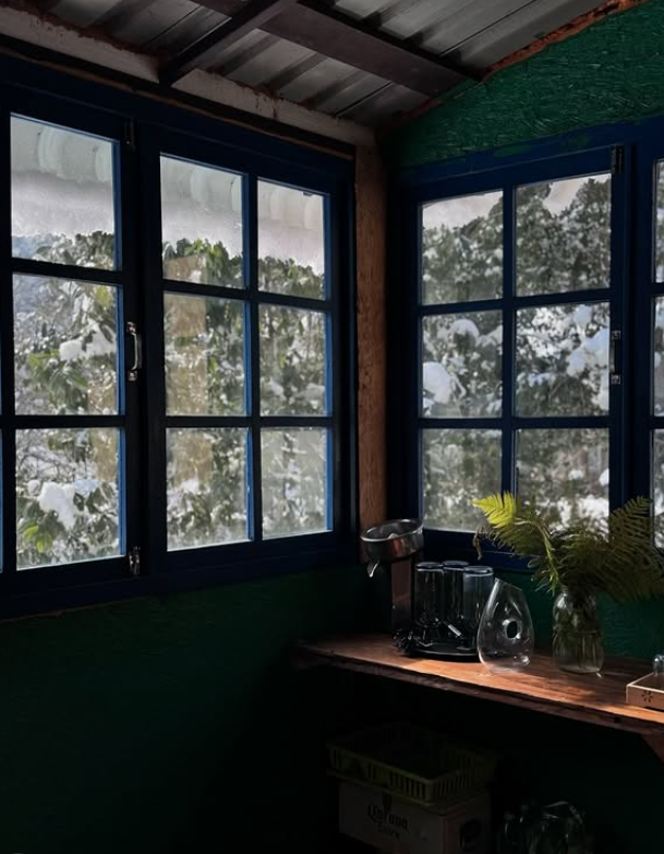 DADI Village. Главная