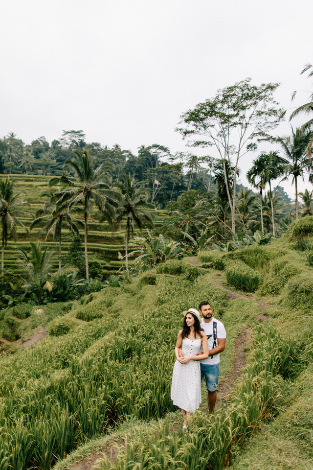 Hotel + Rice terraces