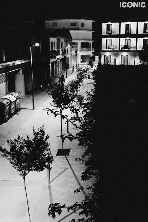 Publications. OLGA REPTIK