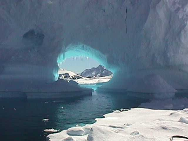 ANTARCTICA. Reportage concert portrait photography in the San Francisco Bay Area