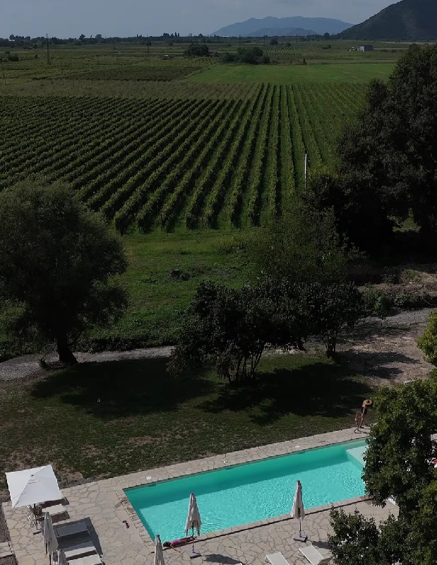 Nekresi Estate. Главная