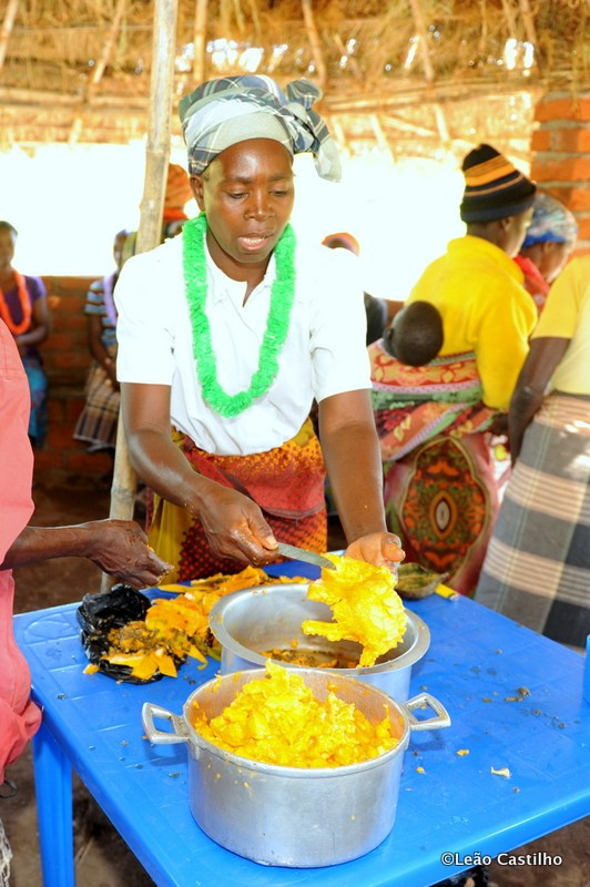 Photos of volunteer work in Mozambique. Simbahalu