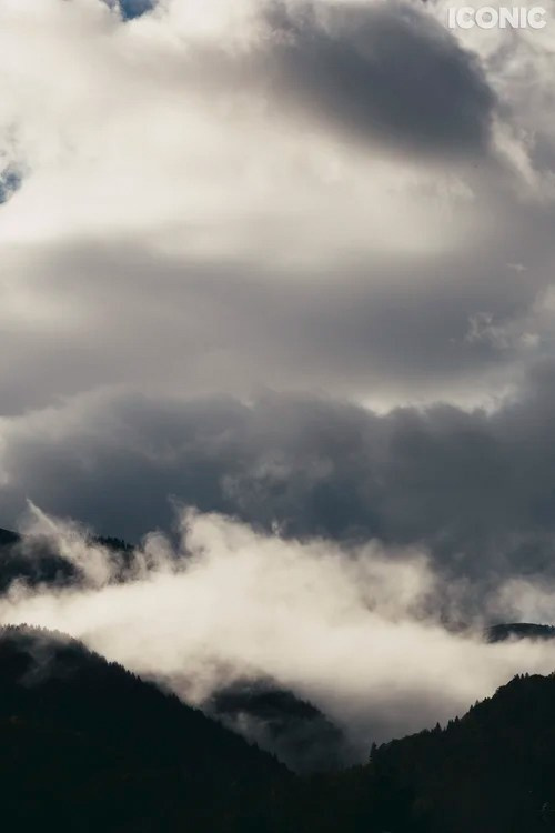 Publications. OLGA REPTIK