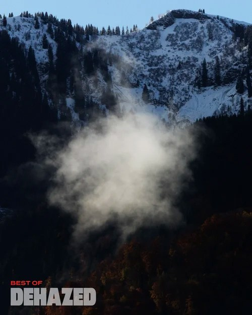 Publications. OLGA REPTIK