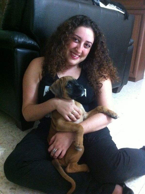 My ״Star״ Boxer Dog