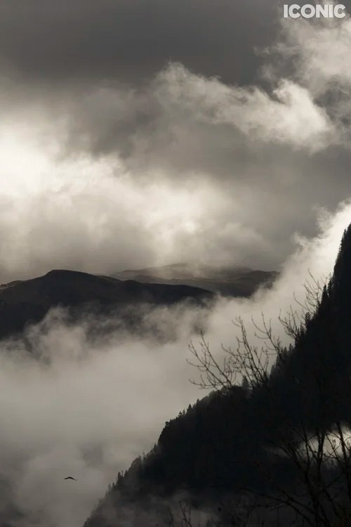 Publications. OLGA REPTIK