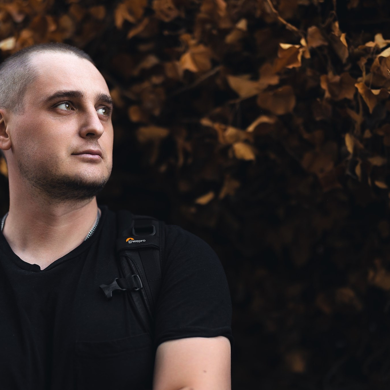 Contacts. Time machine Studio