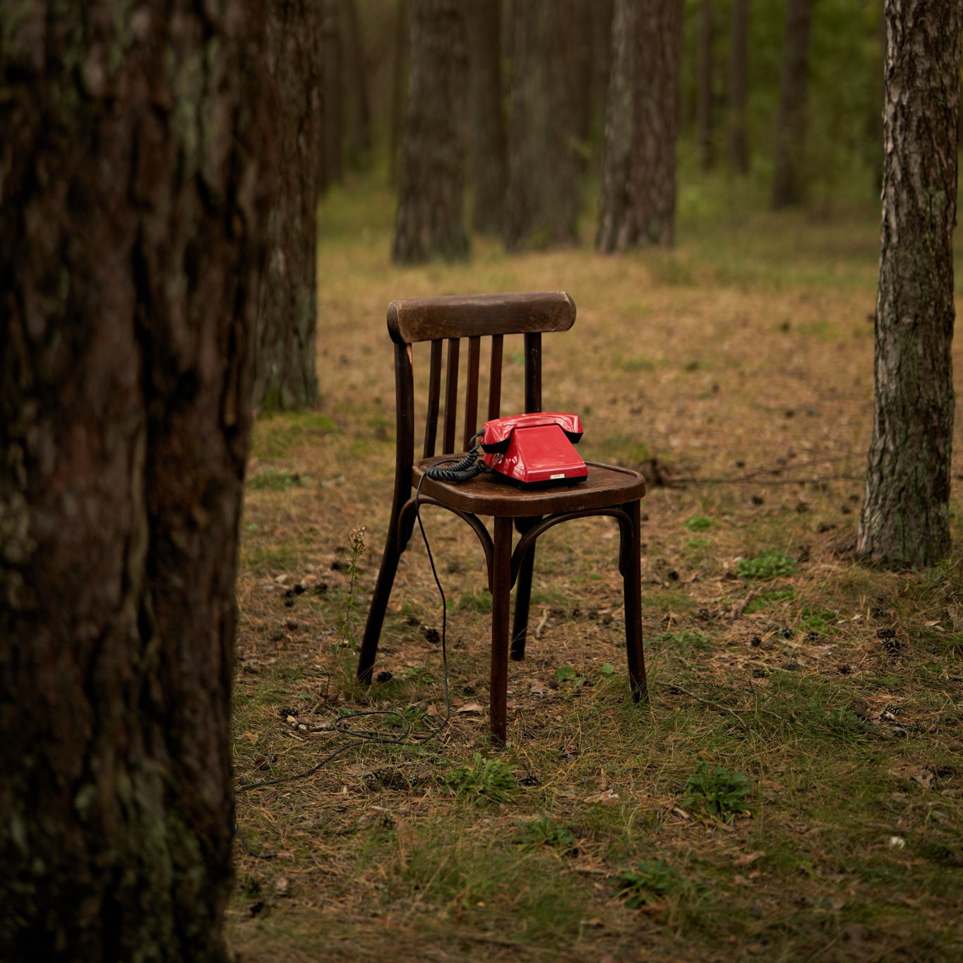 Dažniausiai užduodami klausimai. Portretų fotografavimo paslaugos Vilniuje
