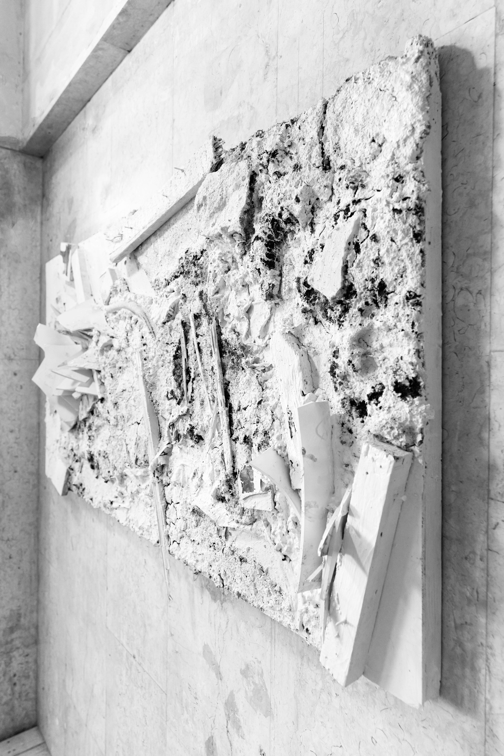 SVIVA STATION. Ekaterina Belukhina: Multidisciplinary artist