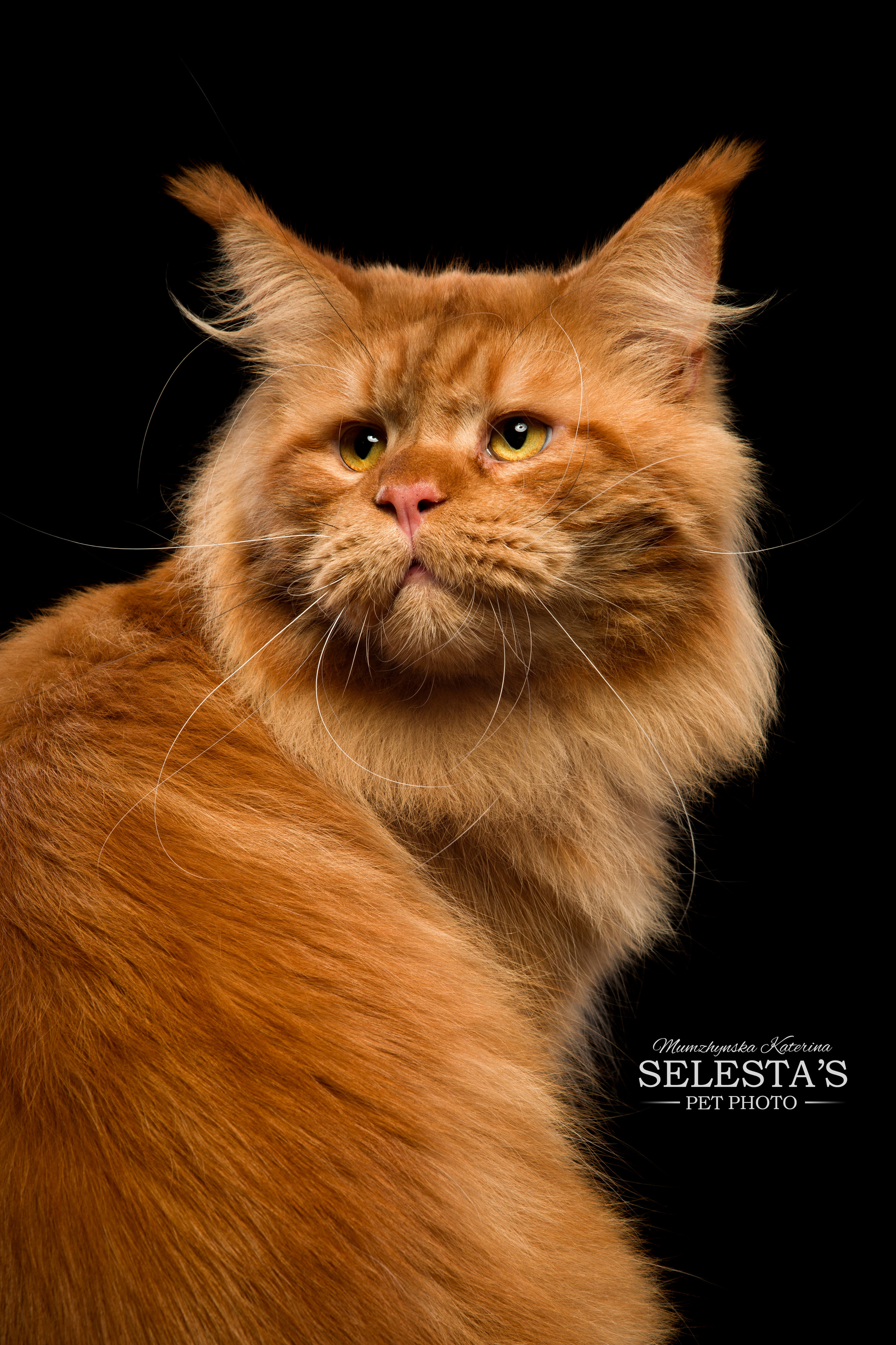 Фотограф Катерина Мумжинська