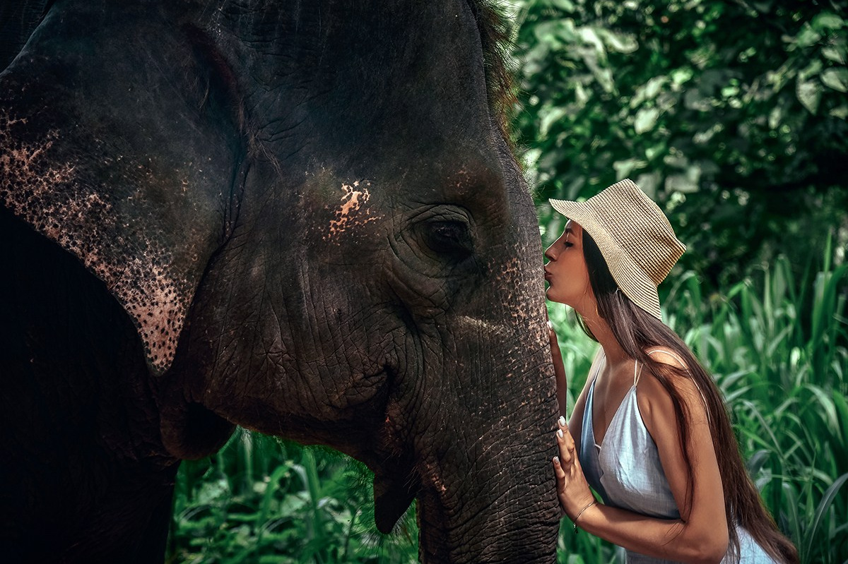 Day Trips & Excursions in Sri Lanka | Moshch DM. Moshch Destination Management pvt ltd. Photo-tours / excursions/ luxury private tours in Sri Lanka