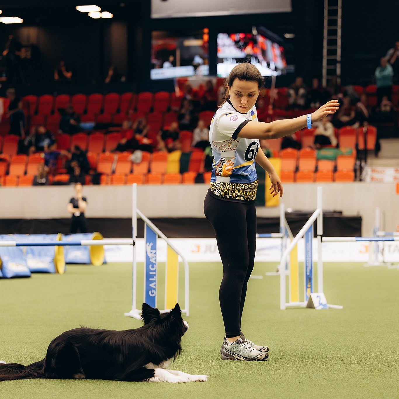Подарунки. Фотограф-анімаліст Київ