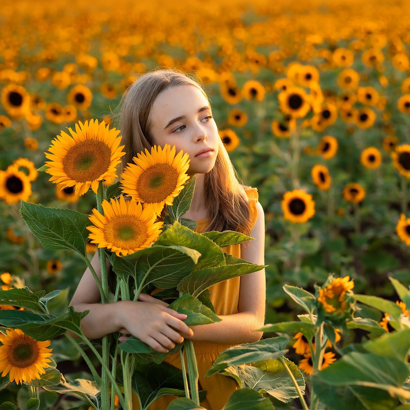 Цены на услуги фотографа в Израиле