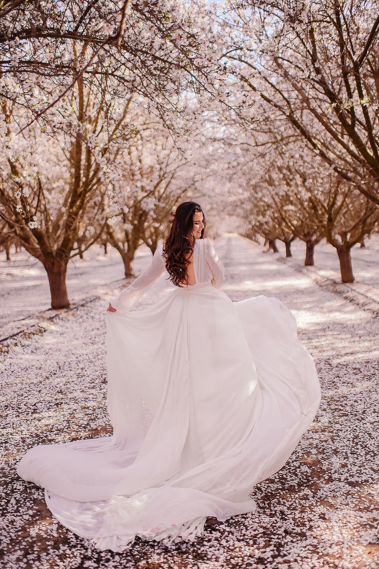 BLOOMING mini. Book NOW. Wedding, maternity and family photographer in Charlotte Tasha Minn