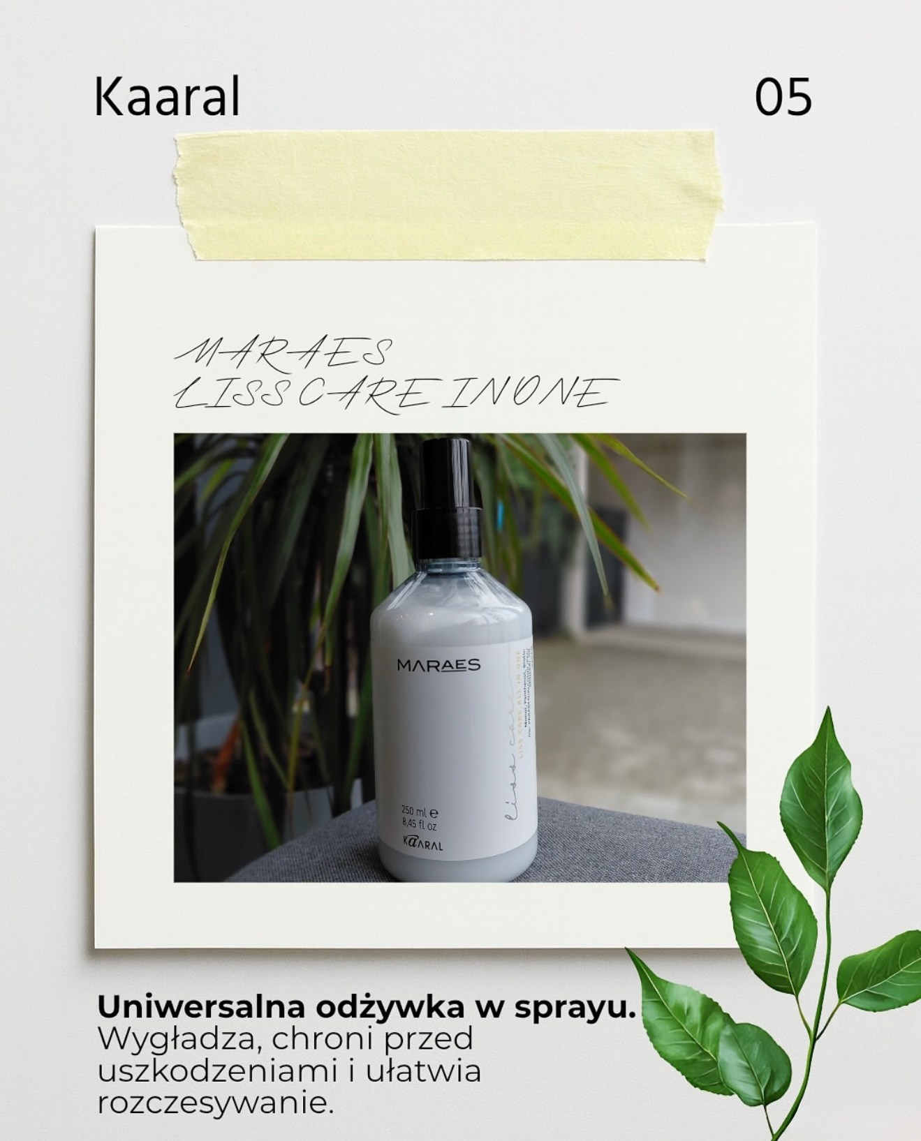 Kaaral. Strona główna