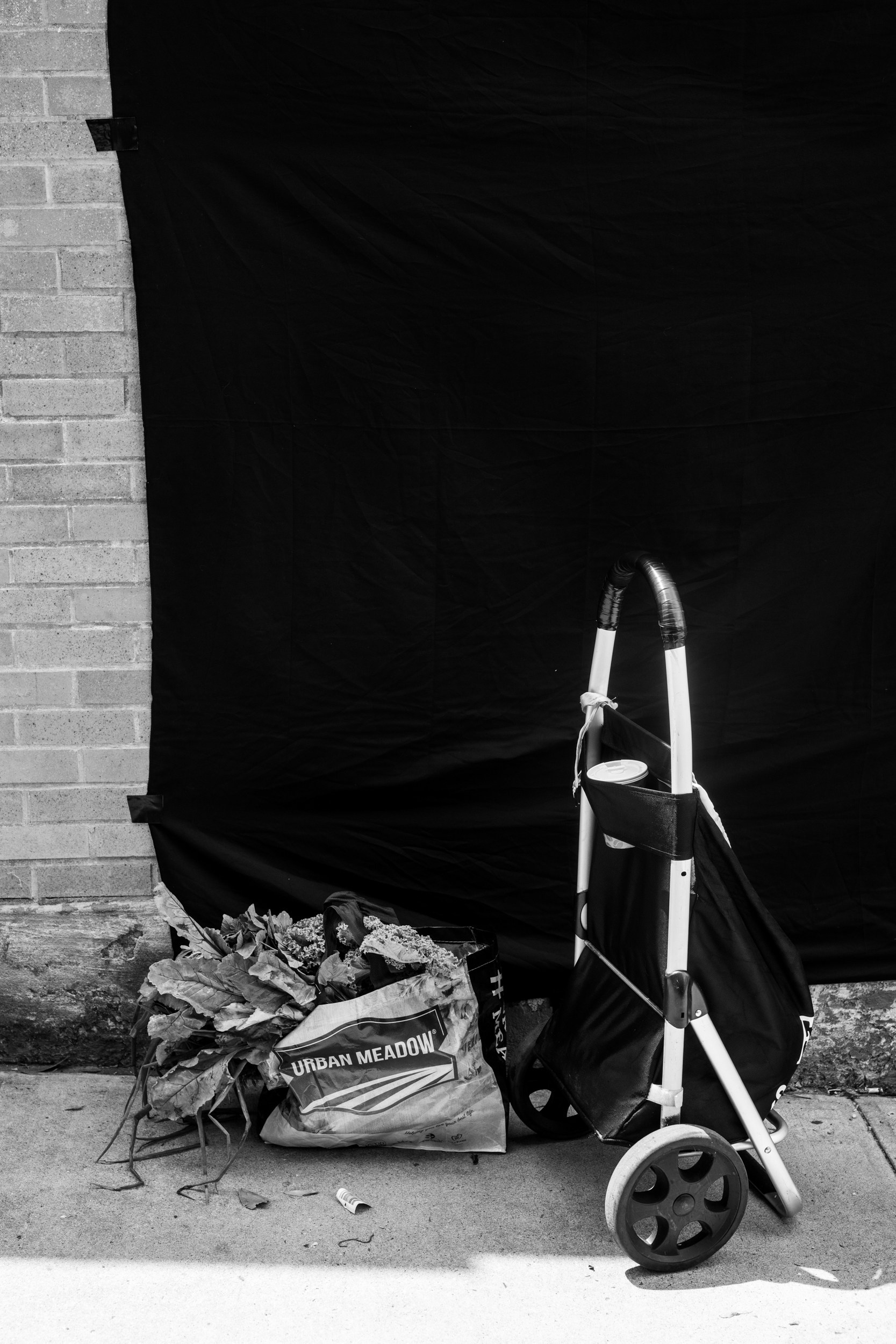 Humano. Tatiana Kireicheva