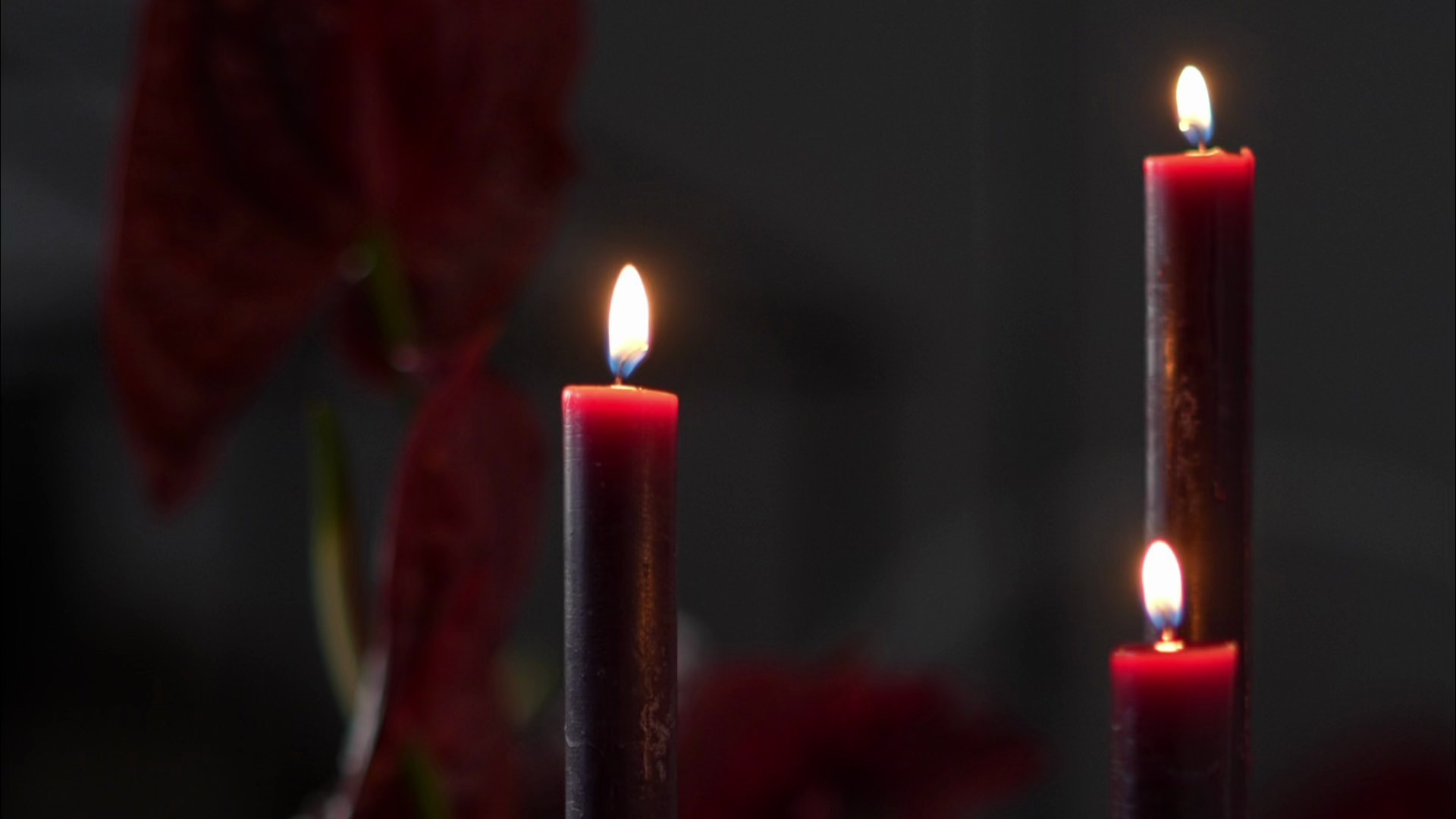 YS Kreativwerk | Yana Stoianova — Foto- & Videografie in Bayern und deutschlandweit