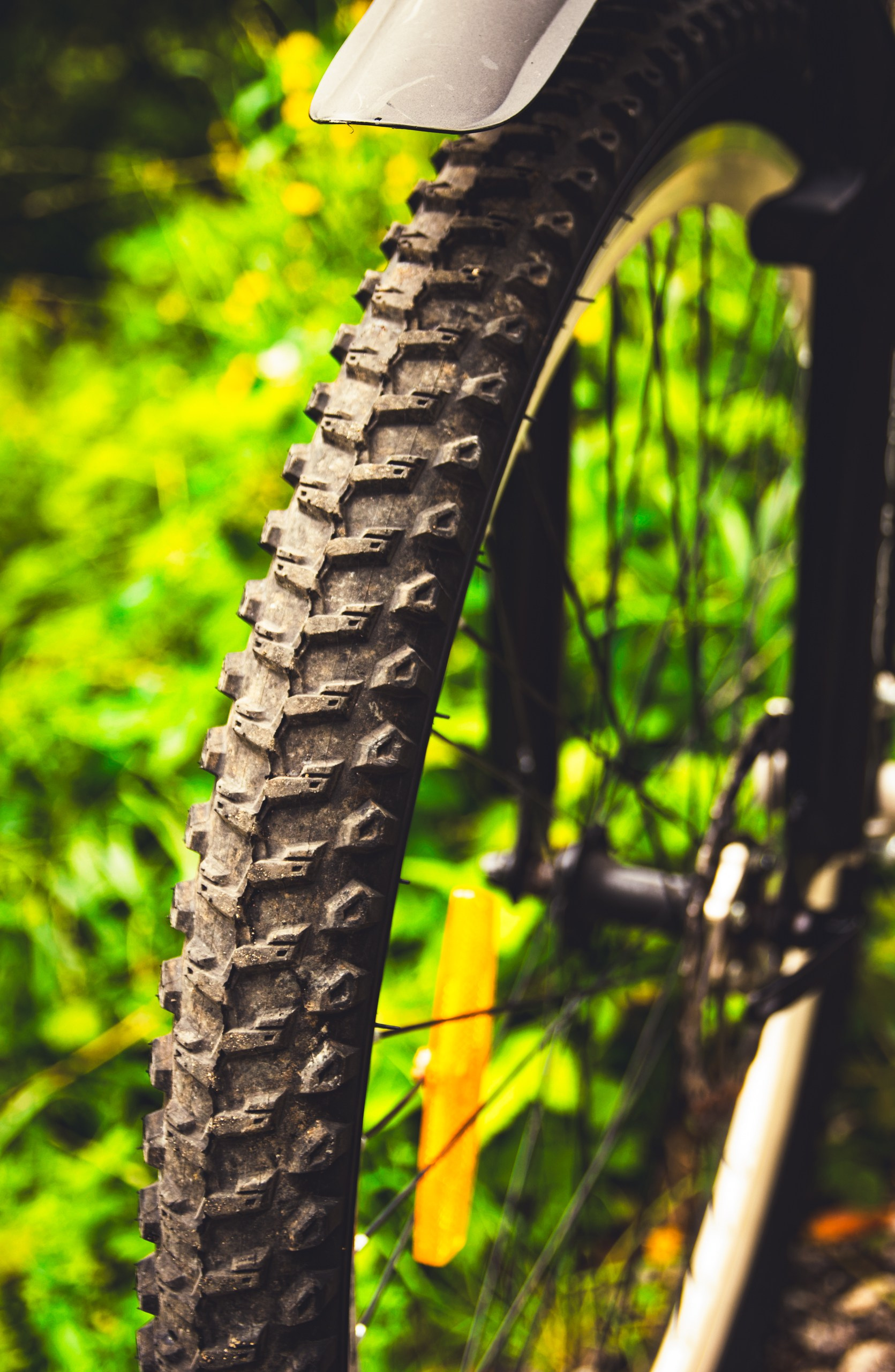 Nebula 25 — Fotod teie hingele