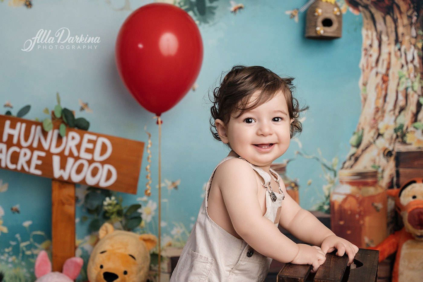 Arta’s “Winnie The Pooh” cake smash session