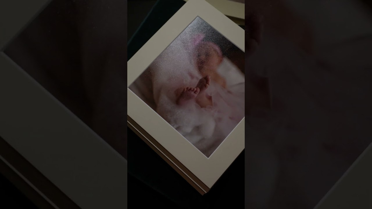 Services. EVGENIA POGALOVA PHOTOGRAPHER