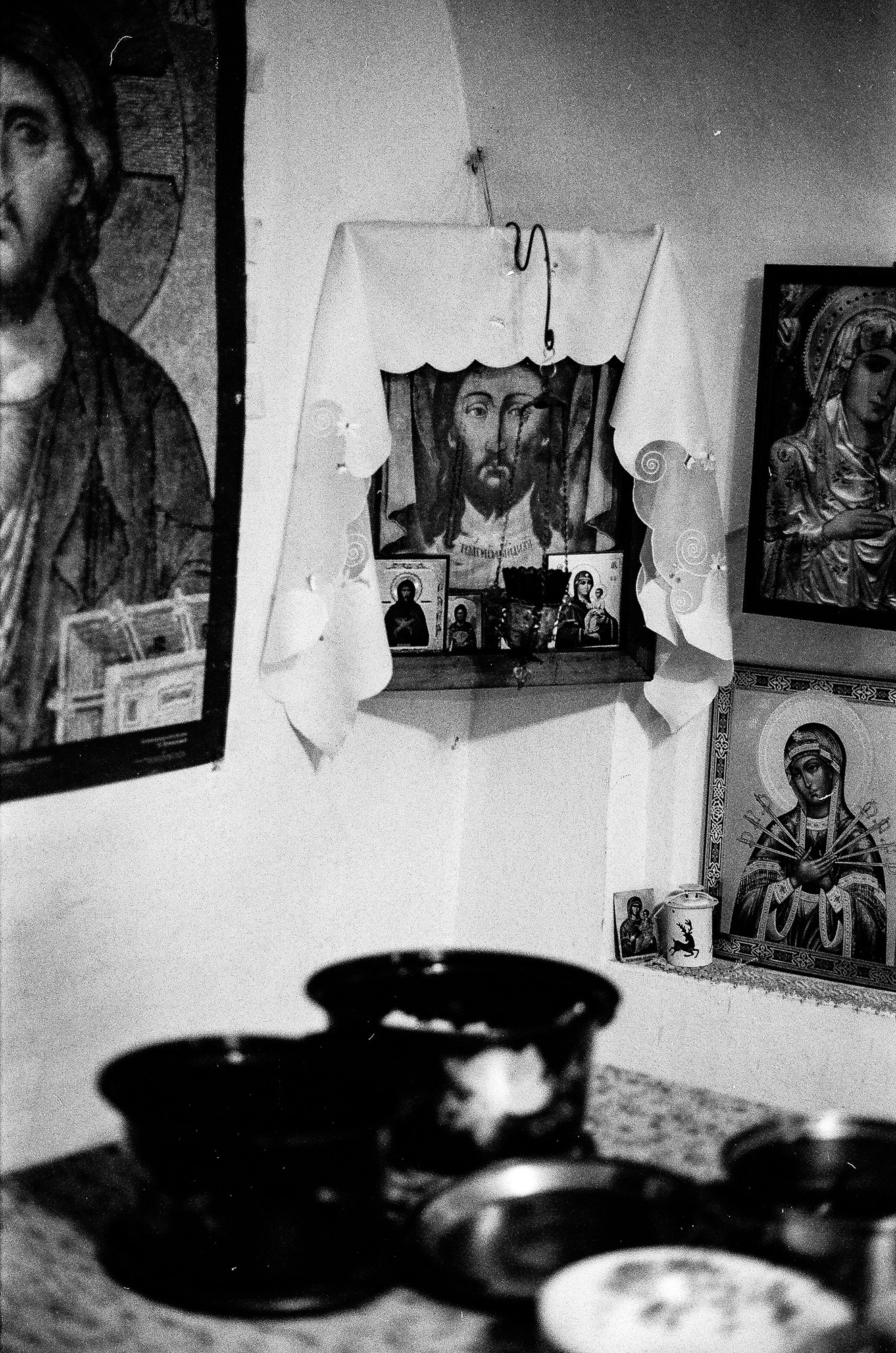 Weeding light. Tatiana Kireicheva