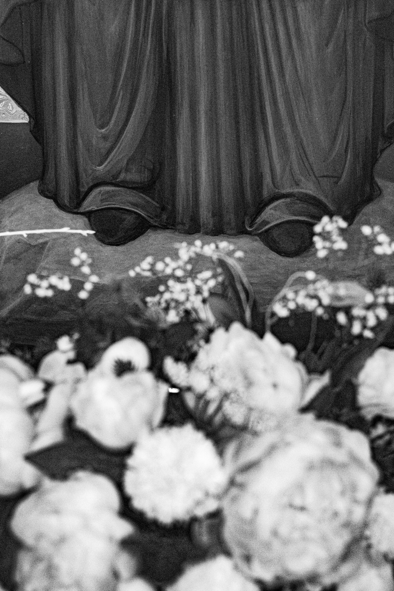 Weeding light. Tatiana Kireicheva