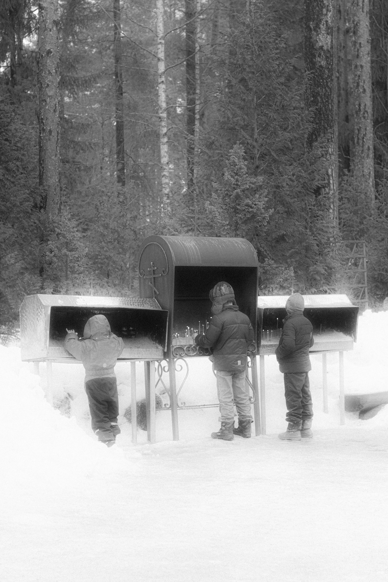 Weeding light. Tatiana Kireicheva