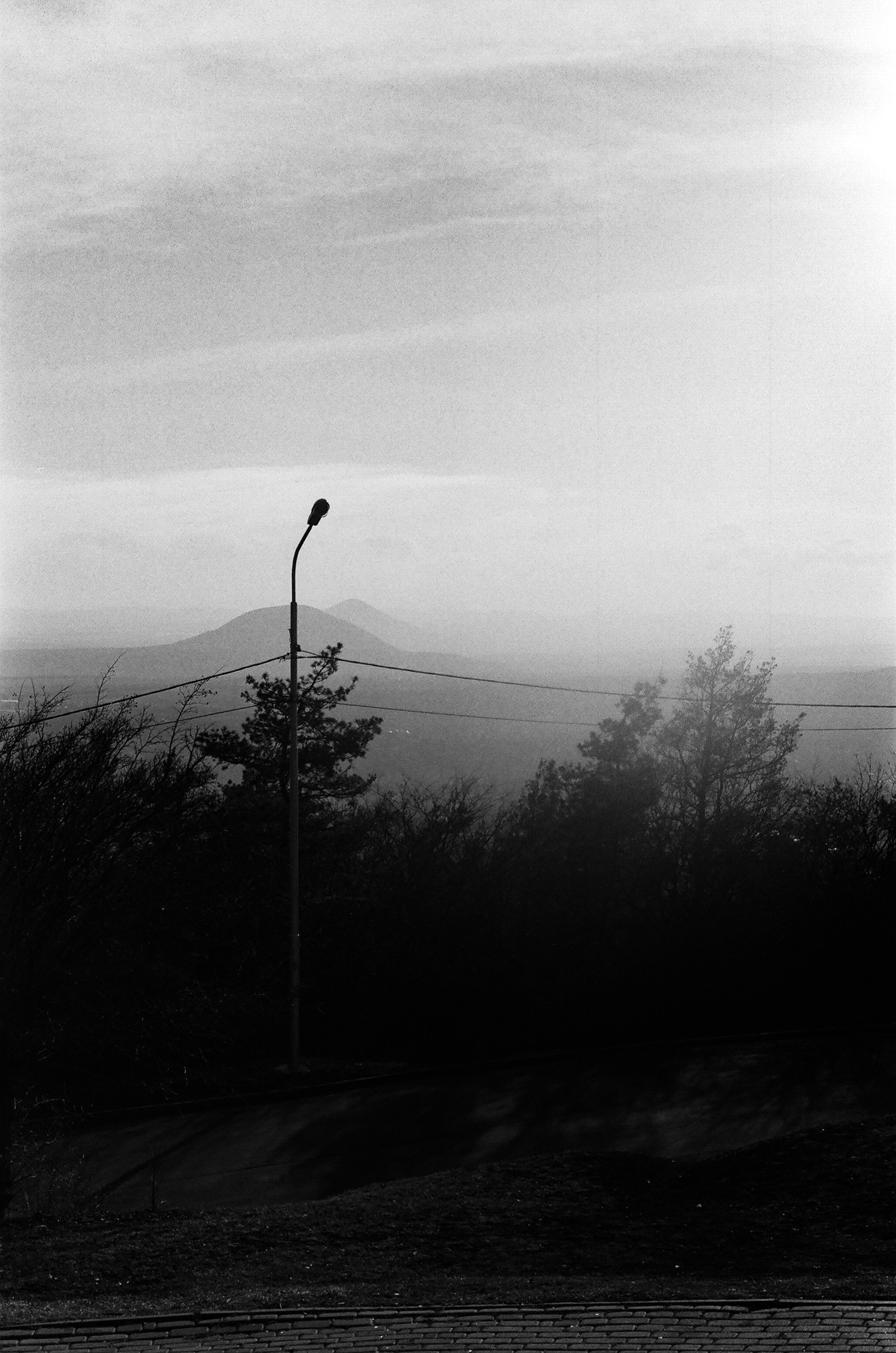 Weeding light. Tatiana Kireicheva