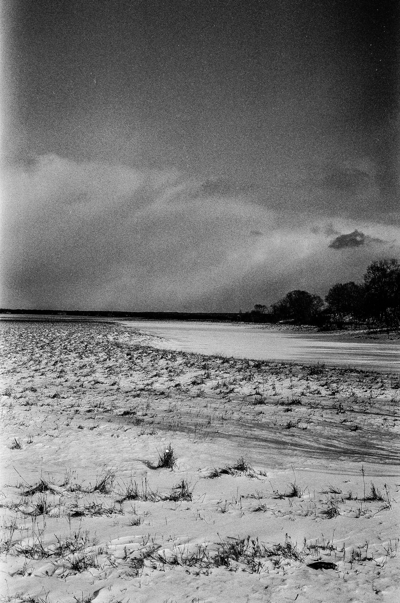 Weeding light. Tatiana Kireicheva