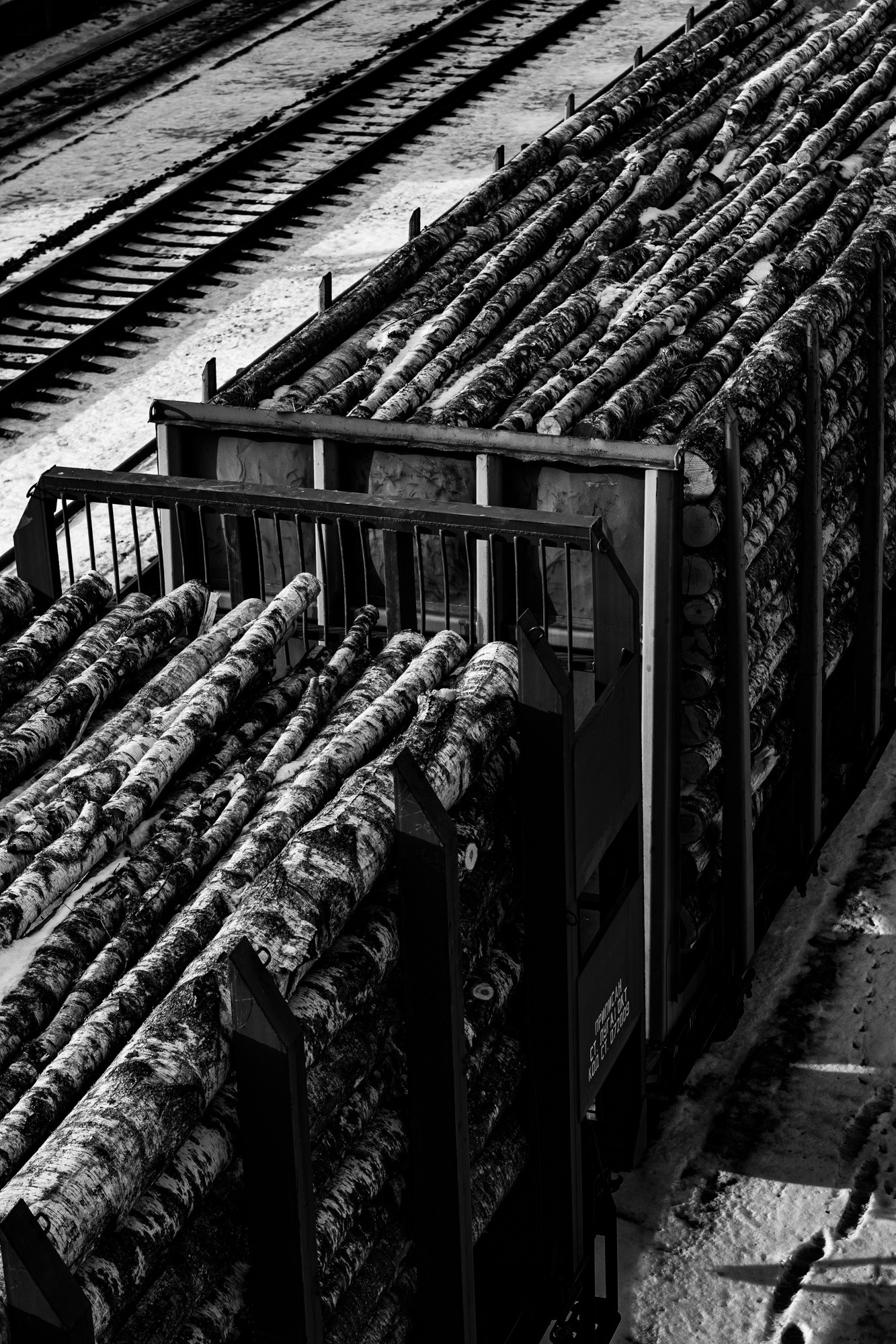 Weeding light. Tatiana Kireicheva