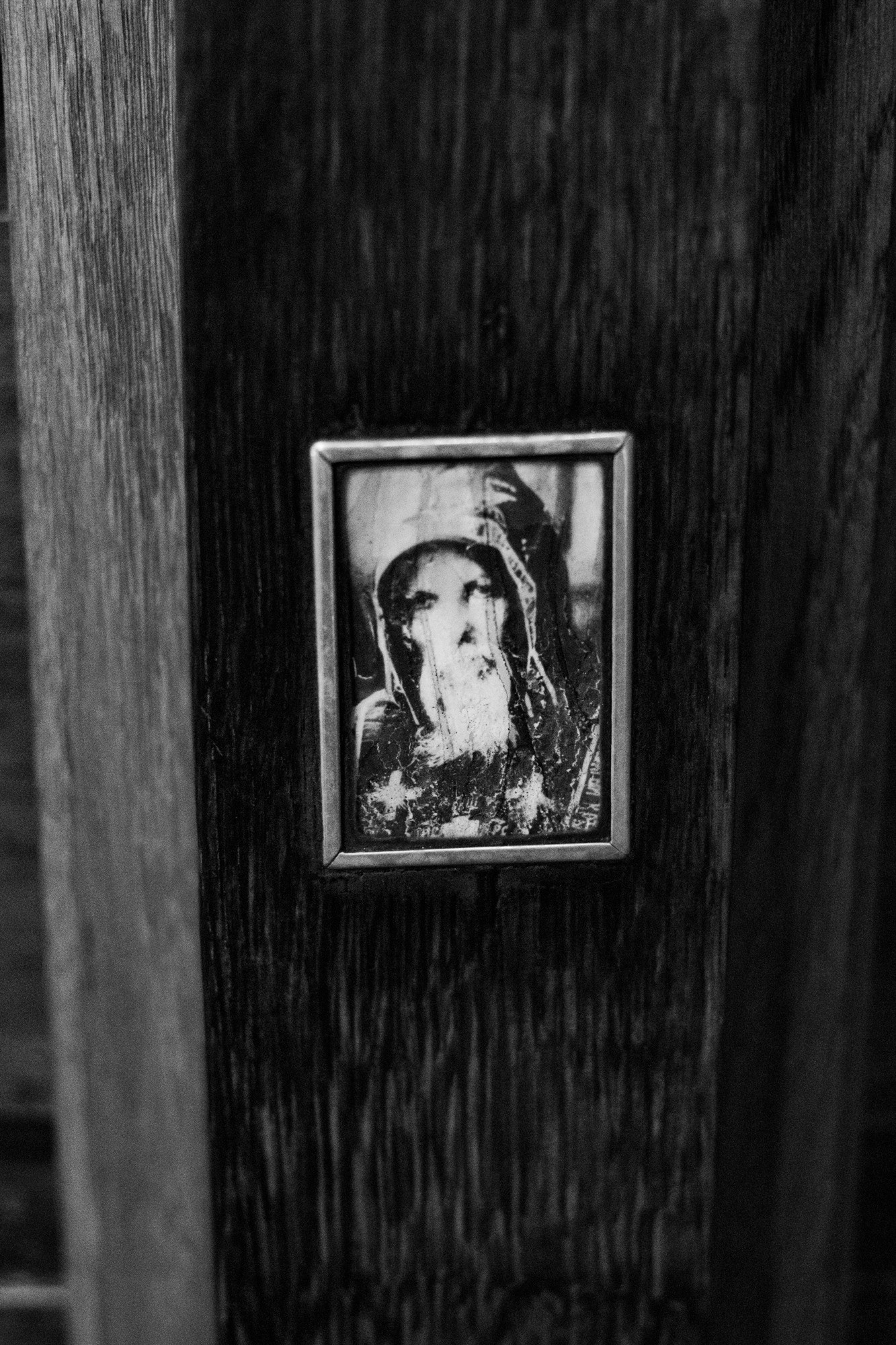 Weeding light. Tatiana Kireicheva