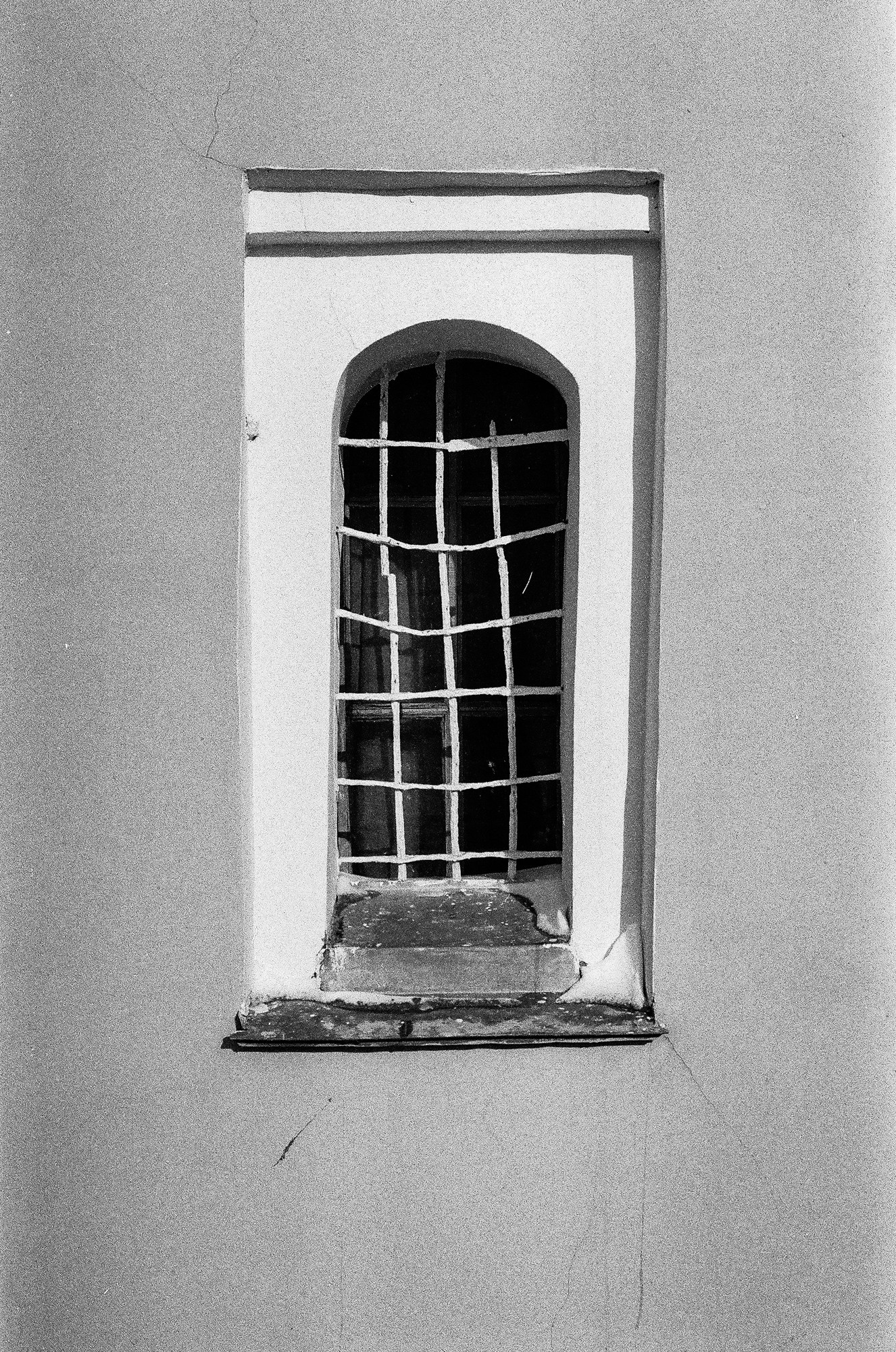 Weeding light. Tatiana Kireicheva