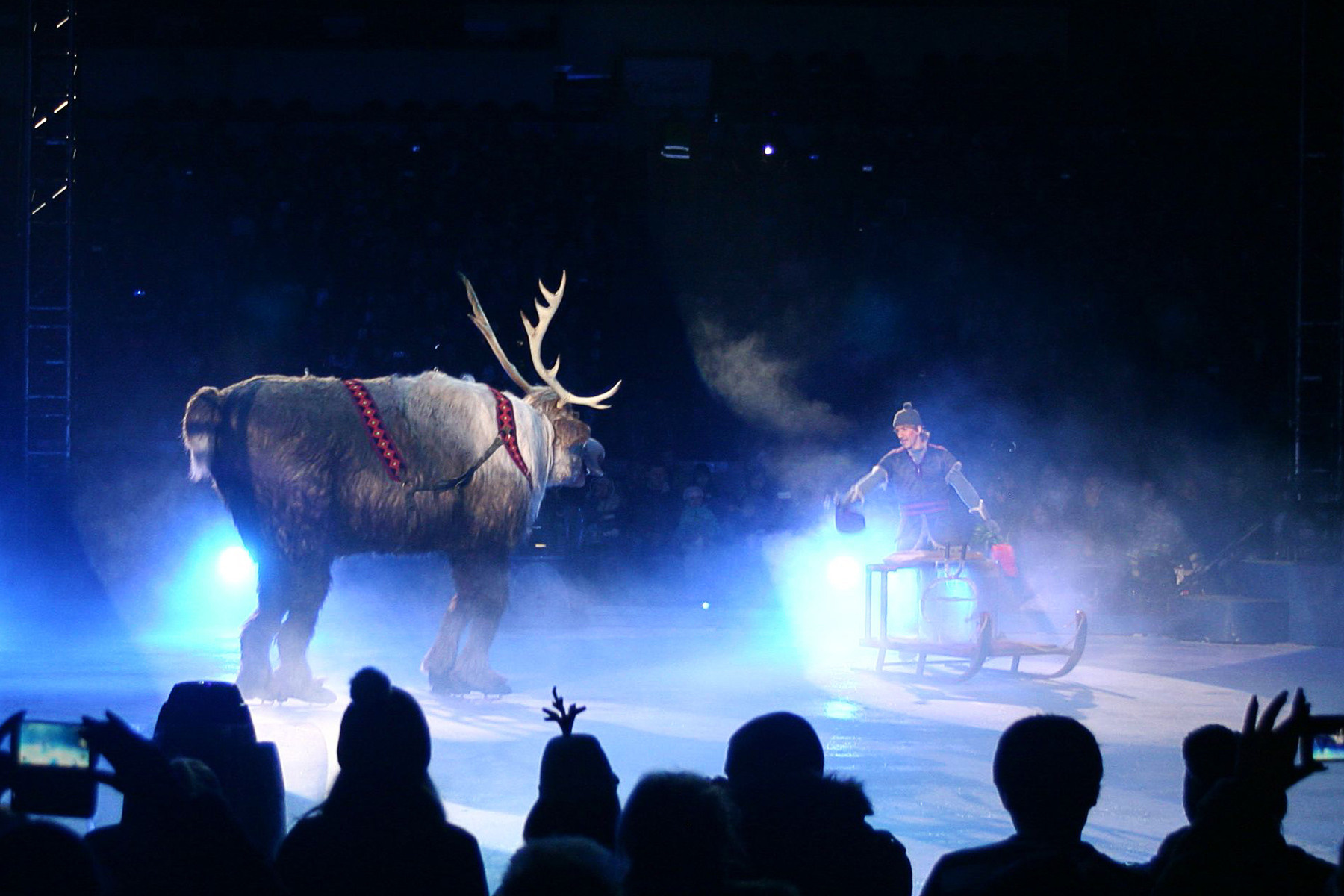 Disney On Ice presents Magical Ice Festival. Kiki-Niki-Cha! Learn, play, and discover with us!