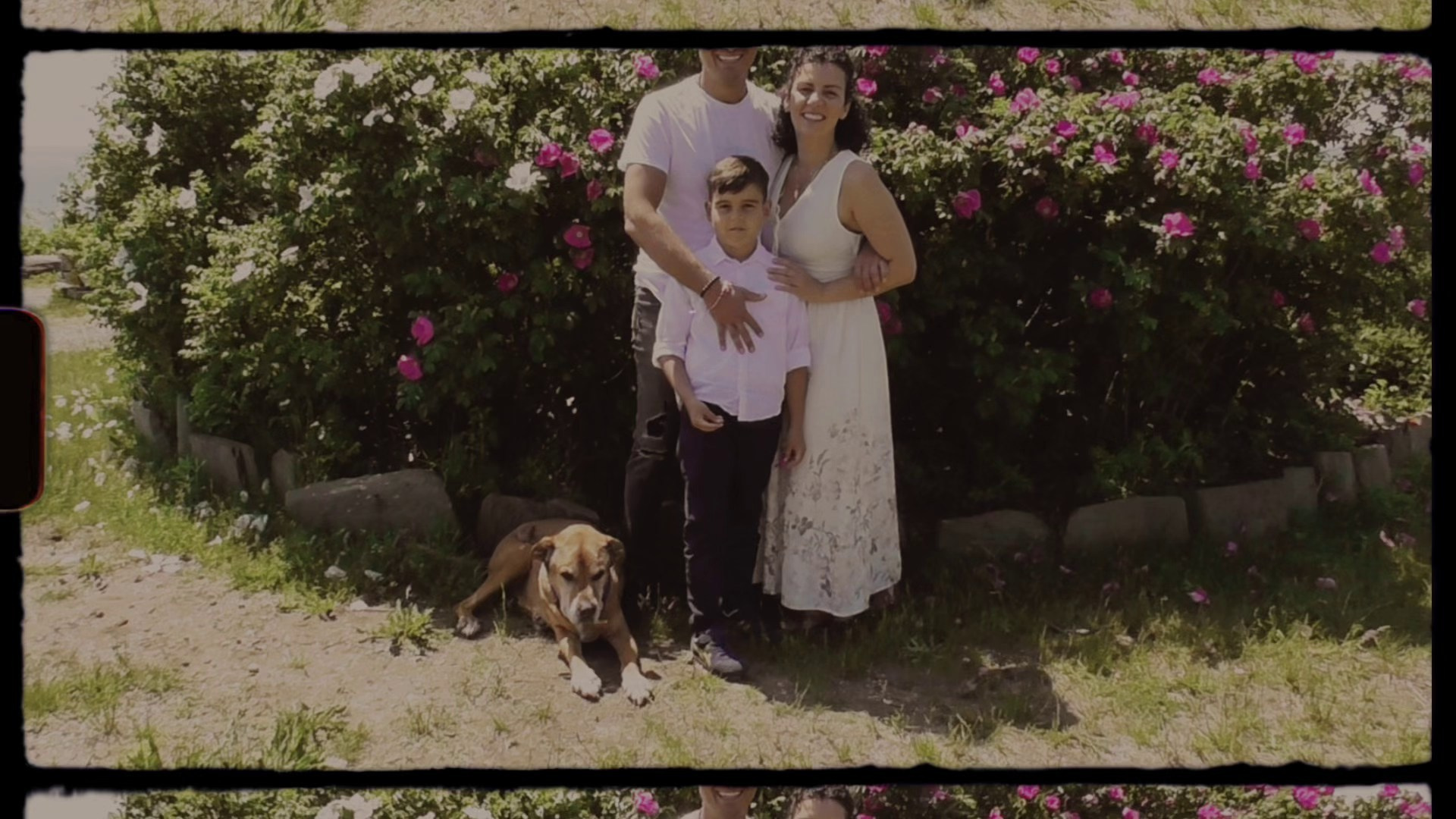 Pricing & Details. Лилит Даниелян | Visual artist