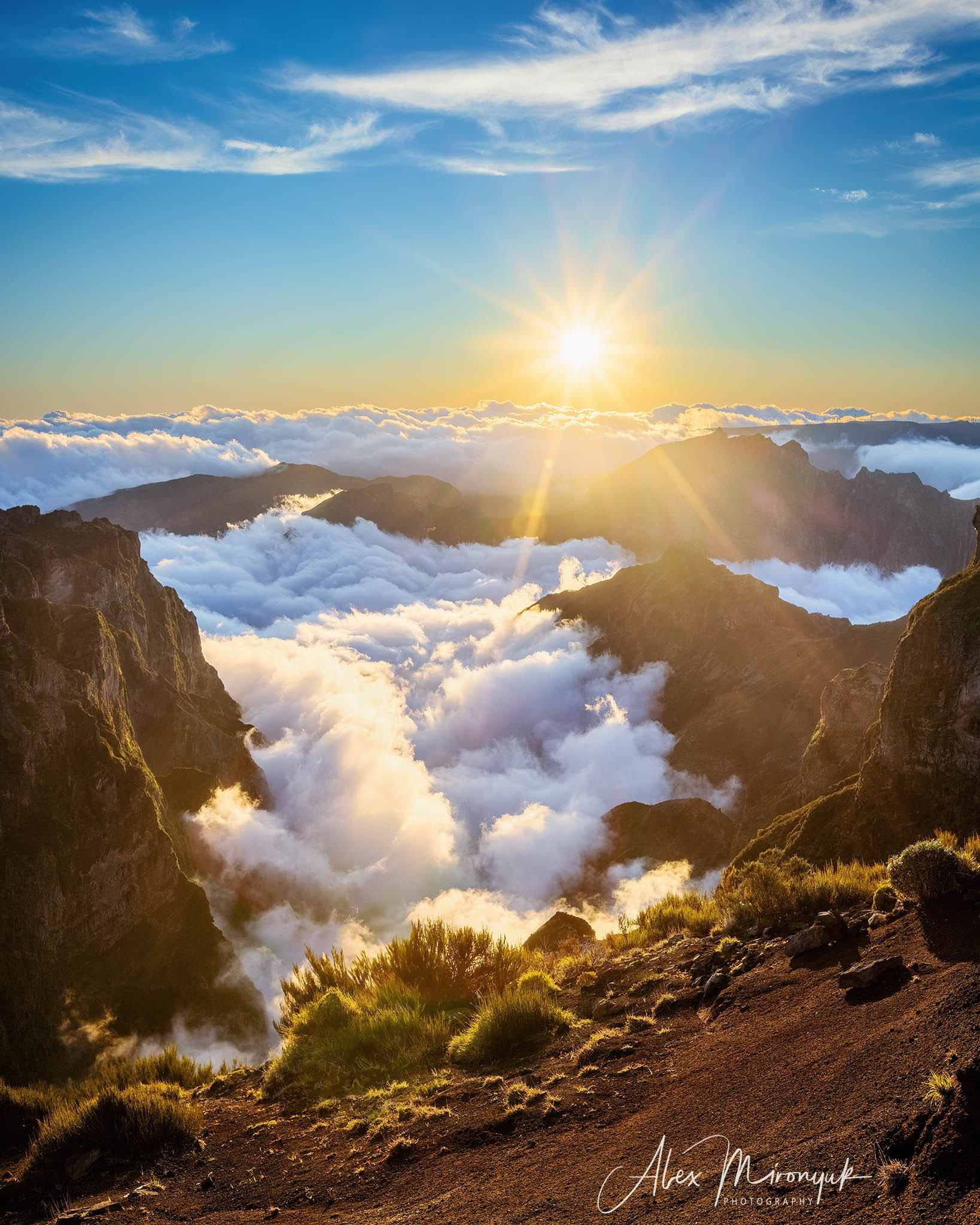 Madeira And Azores. Pet, Senior, Landscape, portrait studio, photographer in Miami and Sou