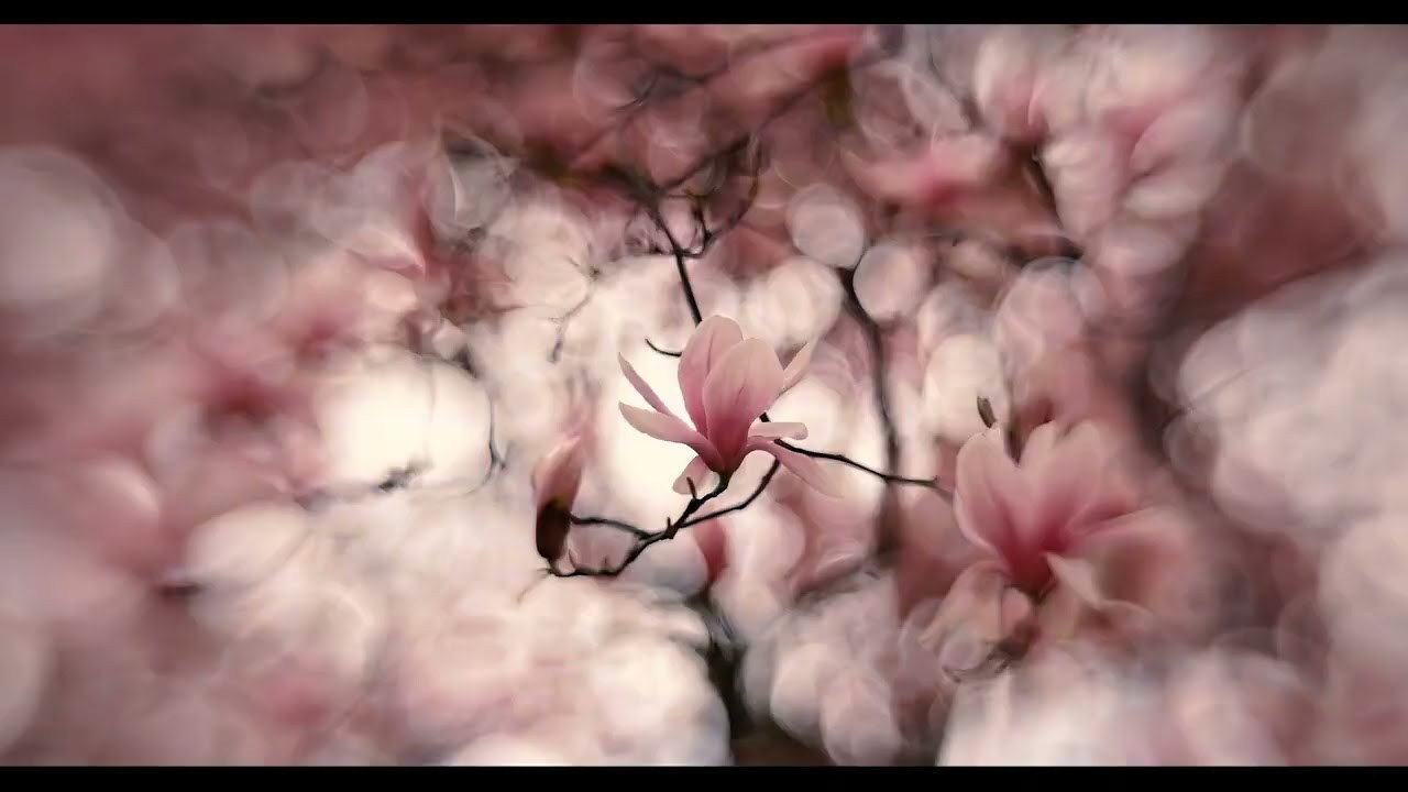 Custom Modified Lens 80mm f1.25 + Fuji GFX 100s. Emin Kuliyev — Award-Winning Wedding Photojournalist NYC & USA | Best Wedding Photographer Known for Candid, Timeless Moments